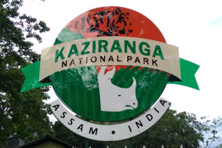 kaziranga-opening