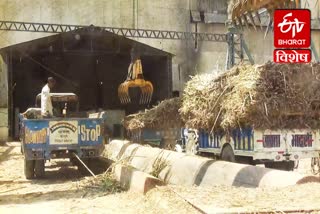 Sugarcane crushing did not start in Kaithal sugar mill
