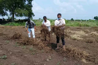 ગોંડલ અને કોટડાસાંગાણી તાલુકામાં એકથી ચાર ઈંચ વરસાદ