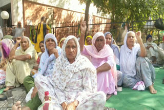 On the 8th day, the farmers besieged the DC office