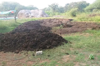 Women of self-help groups producing vermi compost balod