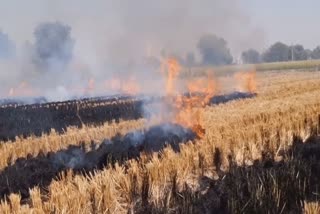 पराली जलाने पर 15 किसानों पर एफआईआर.