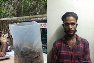 മലപ്പുറം  കഞ്ചാവുമായി ഒരാൾ പിടിയിൽ  Man nabbed with cannabis for sale in Kalikavu  Man nabbed with cannabis  കാളികാവിൽ  Kalikavu  പ്രതി അറസ്റ്റിൽ