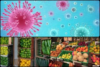 corona virus infection study on safety of fruits and vegetables in a hospital of Indore