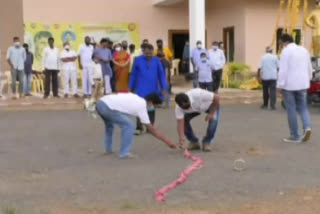 tdp-celebrations-in-srikakulam-dist