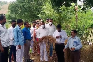 mp rajendra gavit visits Palghar rain affected areas