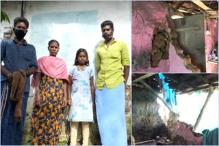 house destroyed family seeking help idukki  വീട് തകർന്ന് ഹരിജൻ കുടുംബം  ശാന്തൻപാറ  വൈരഭനും കുടുംബവും  എ.എൽ.റ്റി ഹരിജൻ കോളനി  alt harijan colony