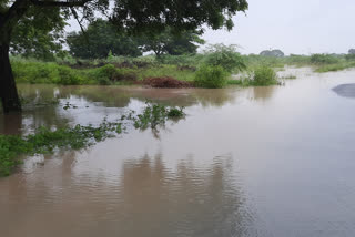 guntur rainfall