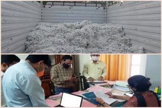 सूरजगढ़ का कपास केंद्र, Cotton Center of Surajgarh