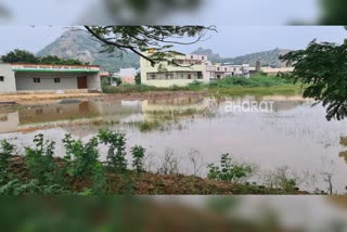 Raichur: Flood anxiety  in Krishna River