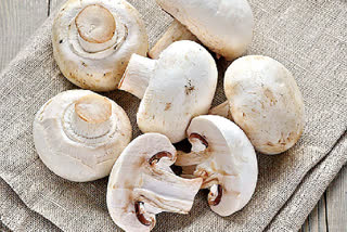 mushroom diet to combat COVID-19