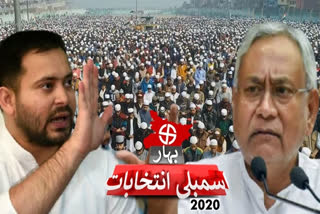 how muslims vote affected bihar polls 2020