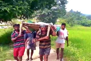 3 girl children died due to snake bite in simdega