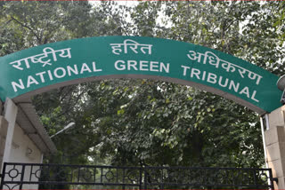 Kaleshwaram irrigation project got environmental clearance in violation of law: NGT