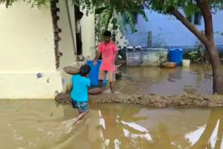 Water surrounding the residences by the Rise of Kottamuttan Lake