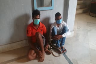 Jamtara police arrested two cyber criminals