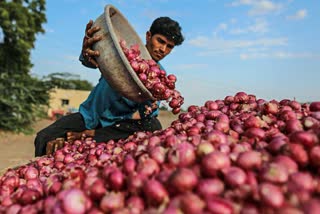 Heavy rainfall leads to rise in onion prices