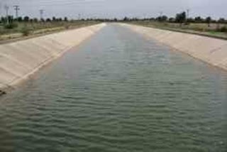 canal water theft, water theft in Hanumangarh