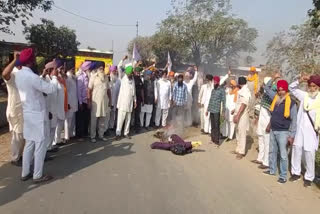 farmers burn effigy pm modi at Village Hamja of Majitha