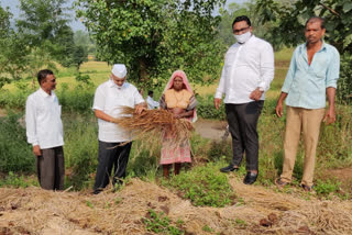 पाहणी करताना आमदार