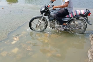 રસ્તાનું નવીનીકરણ કરવા પોરબંદર કોંગ્રેસ સમિતિની માગ