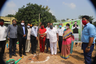 Minister Koppula Green Challenge Program at Ramagundam in Peddapalli