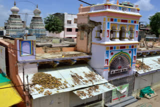 navratri in amravati