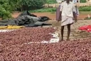 onion farmers in Kadapa district