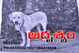comaplaint on pet dog missing at kushaiguda