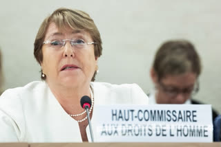 UN Human Rights chief