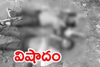 Brothers suicide in thiruchanuru chitthore district