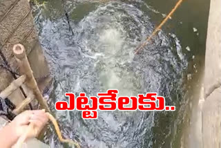 Open Jeedimetla Fox Sagar Pond Sluice in hyderabad