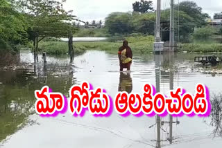 kalloru people face problems with kadirappanayani pond in chitthore district