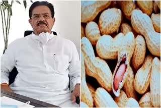 Purchase of groundnut in Rajasthan on support price, Udayalala Anjana News