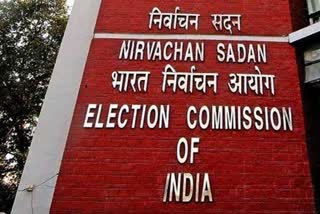 ECI Committee on expenditure limits