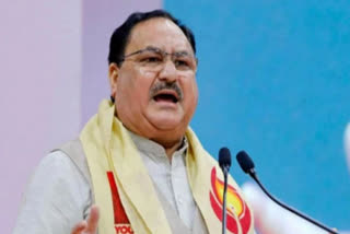 Cong stance on Article 370 is helping Pak: Nadda tells election rally in Bihar