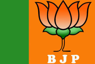 Rajasthan News,  Declaration of Morcha presidents in BJP