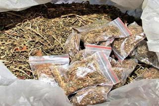 3 arrested for selling cannabis