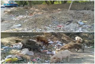 Litter bin in Lado Sarai in delhi