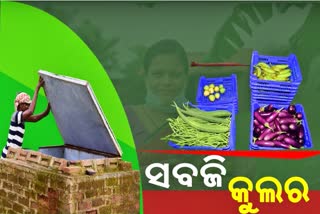 ଏବେ ପନିପରିବା ପଚିବାକୁ ନାହିଁ ଡର, ସୁନ୍ଦରଗଡ଼ ଜିଲ୍ଲାରେ ଚାଷୀଙ୍କୁ ମିଳୁଛି ‘ସବଜି କୁଲର’