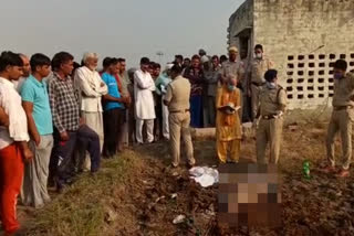 dead body of youth found in fields in rohtak