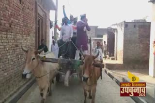 Congressmen campaigning with bullock carts.