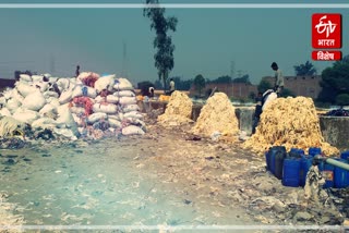 bleach houses in panipat