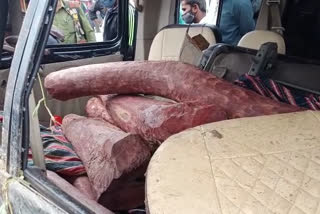 two-men-arrest-for-carrying-800kg-of-red-sandalwood