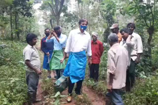 kodagu Lecturers work in coffee plantations due to the corona effects