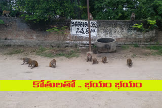 peoples trouble -with monkeys in elkathurthi warangal district