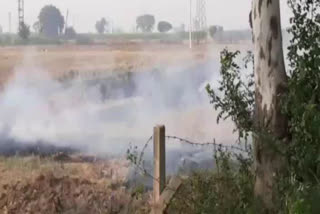 pollution increasing in radaur due to burning of garbage