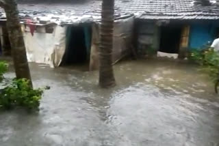 Rain in Havri District