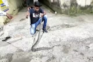 10-feet-pythone-snake-rescued-in-dhenkanal