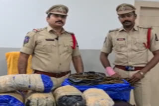 police caught twi ganja smugglers in hyderabad